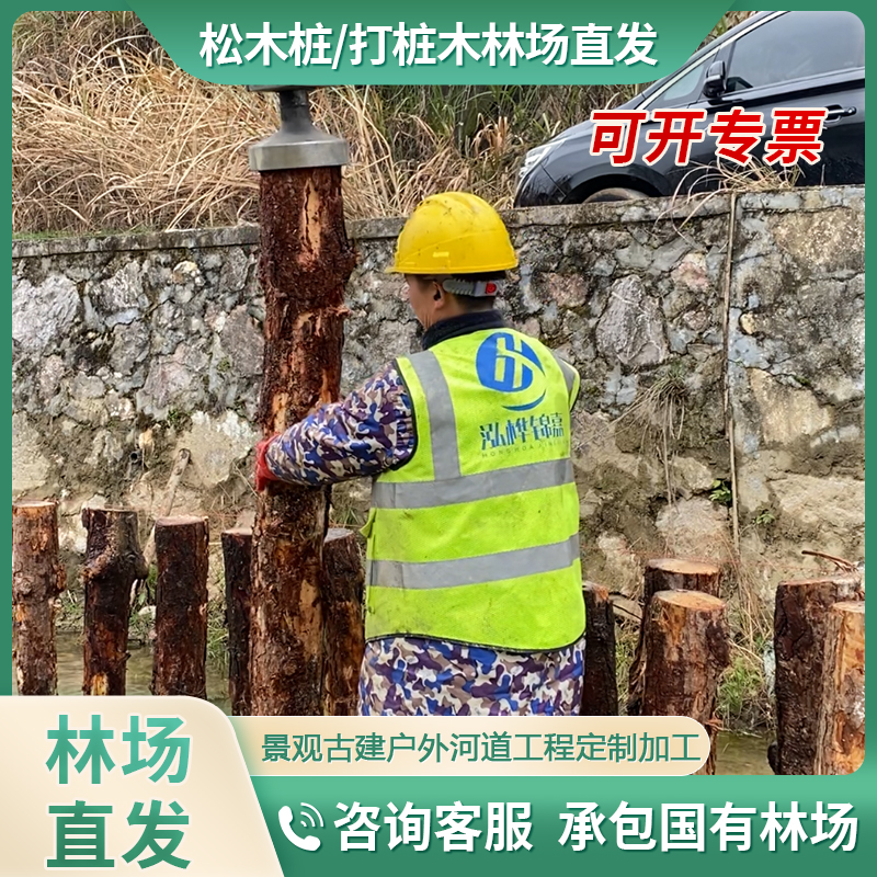 松木樁打不下去怎么辦？這里有解決方案！