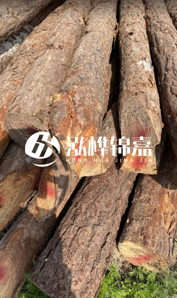<strong>松木樁和杉木樁的用途區(qū)別？哪個更適合打樁用？</strong>