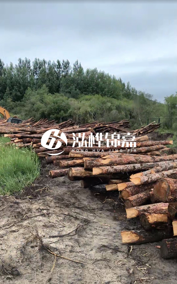 甘肅河道清淤工程公司-為什么要進行河道清淤？