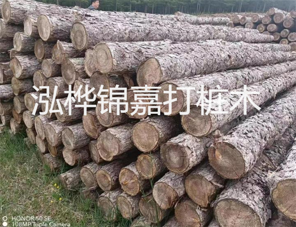 高效修補(bǔ)，保駕護(hù)航！水泥路面高強(qiáng)度修補(bǔ)料為您解決煩惱！