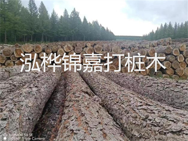 高效施工，圓松木樁助力建筑工程進(jìn)展順利
