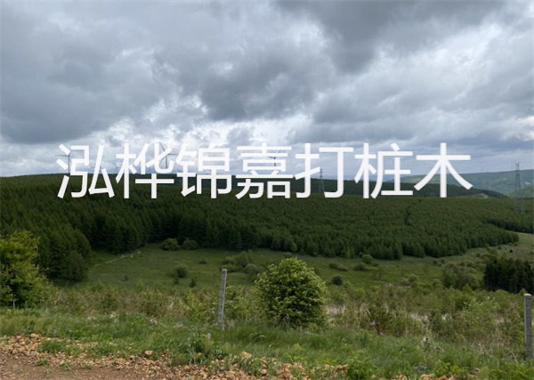 松木樁能重復施工么？