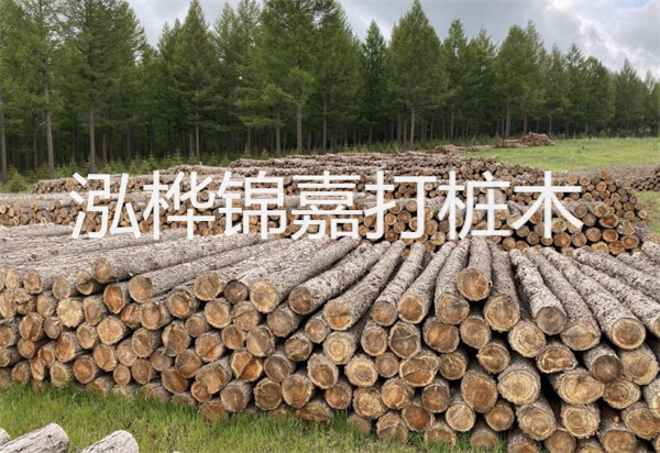 松木樁能施工嗎？探究視頻揭秘真相！
