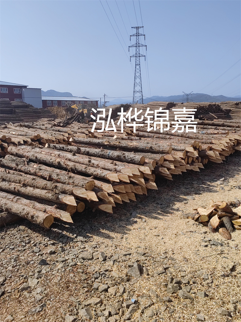 深入了解松木樁基礎施工單價，助力工程建設順利進行！