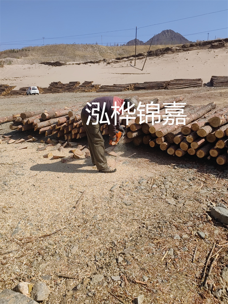 松木樁駁岸施工，打造水上風景線