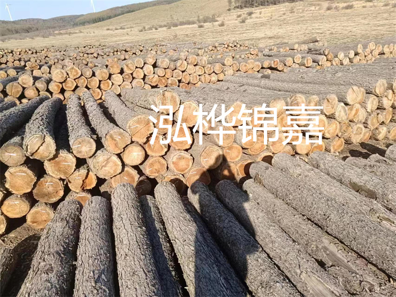 選擇合適的路緣石尺寸，打造美麗道路