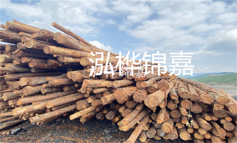 濮陽松木樁，卓越品質(zhì)，安全可靠