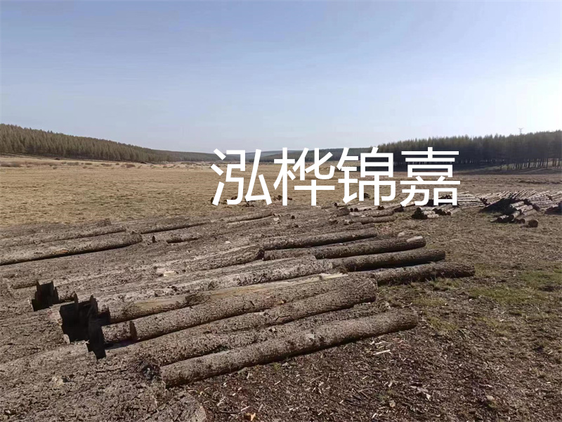鄂州松木樁哪里好？推薦泓樺錦嘉松木樁業(yè)！