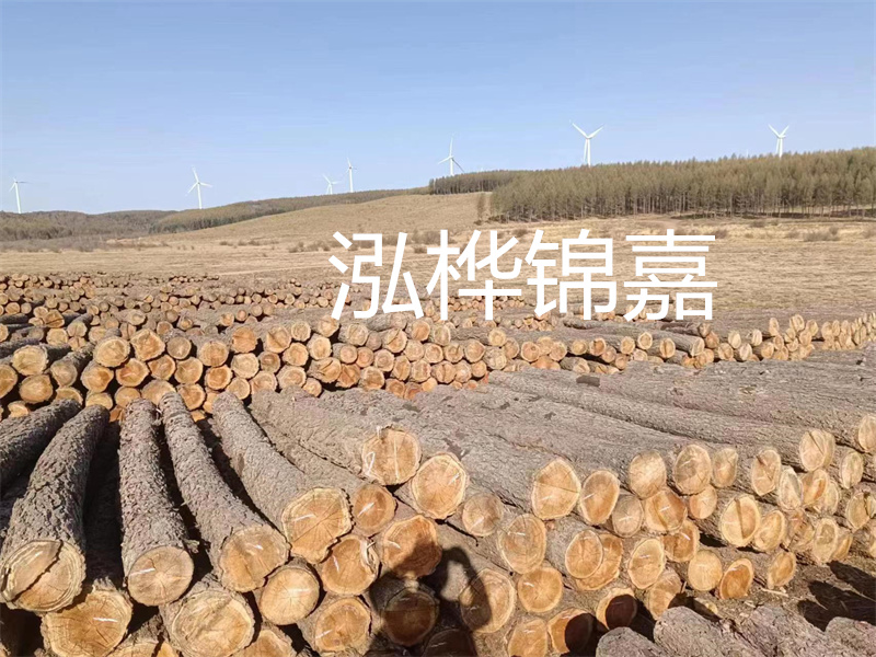 濟(jì)南哪里賣松木木樁？
