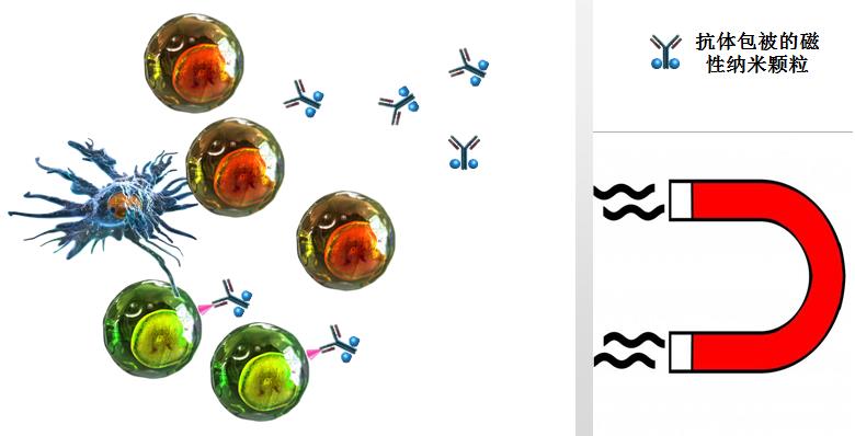 MojoSort 1.jpg MojoSort 1.jpg