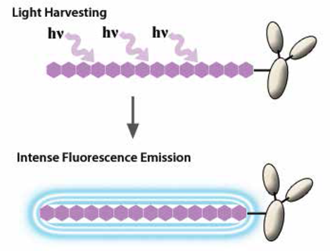 流式1.png 流式1.png