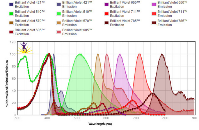 流式2.png 流式2.png